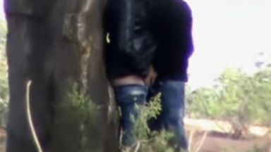 木陰でセックスしているカップルが居たから盗撮したったｗｗｗのthumbnail