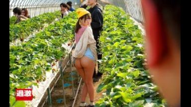 【松本いちか】いちご農家のロリ系美少女が痴漢され大量潮吹きした後にSEXして何度も中イキしちゃう♡のthumbnail